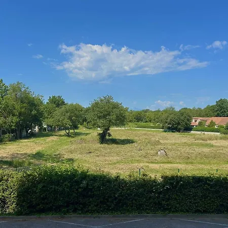 T2 à Argelès-sur-mer Avec Terrasse Et Parking - Fr-1-388-242 Appartamento *